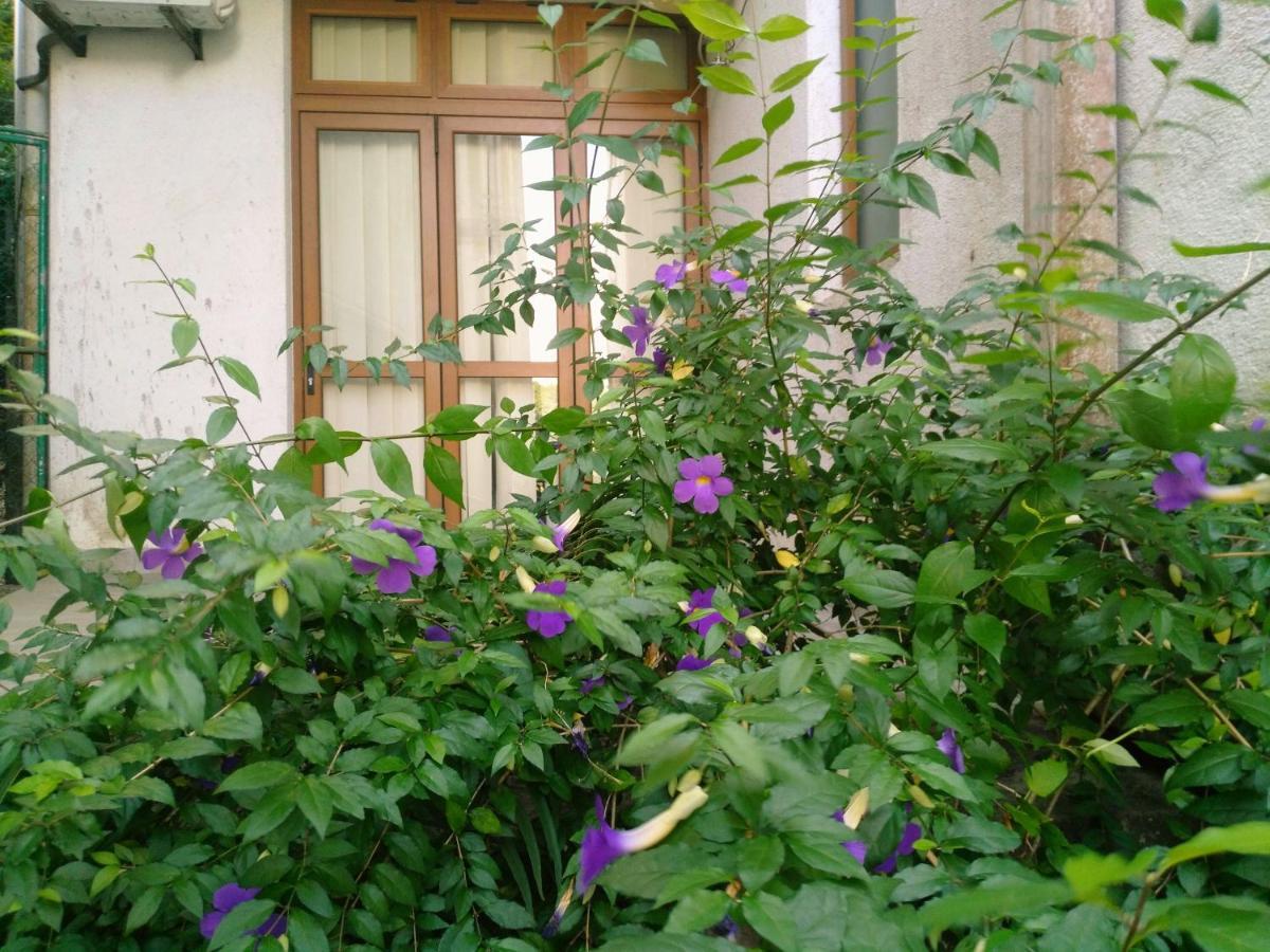 Walse Park Residence キャンディー エクステリア 写真